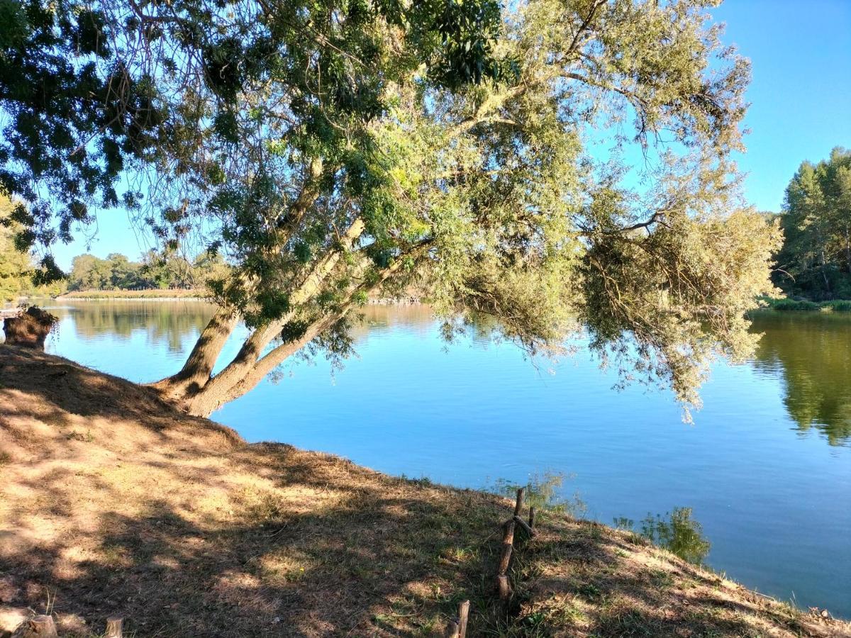 Tours - Rochebonne Διαμέρισμα Εξωτερικό φωτογραφία